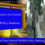 Draft of Pakistan’s first National Wildlife Policy finalized