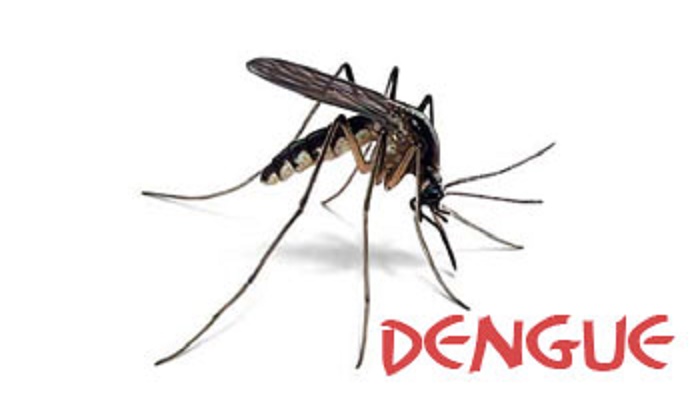Increasing Dengue Patients Requires Preventive Measure