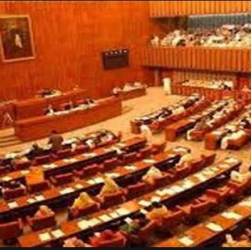 Senate Standing Committee Rejected the call for public execution of Imran Ali