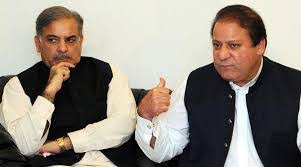 Who will be the New President of PML (N)?