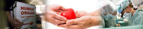 It Is All About The Heart: $4m Fund Given On Heart Transplantation