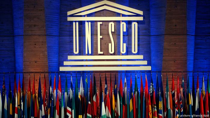 UNESCO Appointed Head For Using The Information And Communication Technology For Development (ICTD) From Pakistan