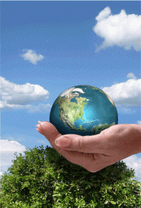 Donate At The Happy Earth Festival South Africa