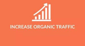 Increase Organic Traffic To Your Official Website