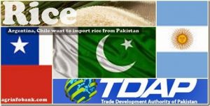 Pakistan’s Largest Trade Event In Chile By TDAP Went In a loss