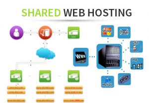 What Are The Top Pros And Cons Of Shared Hosting For Your Business?