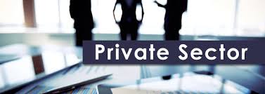 Credit To Private Sector Observed Growth