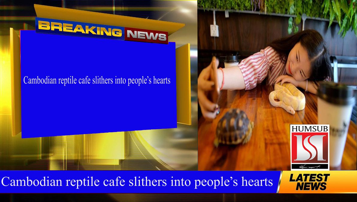 Cambodian reptile cafe slithers into people’s hearts