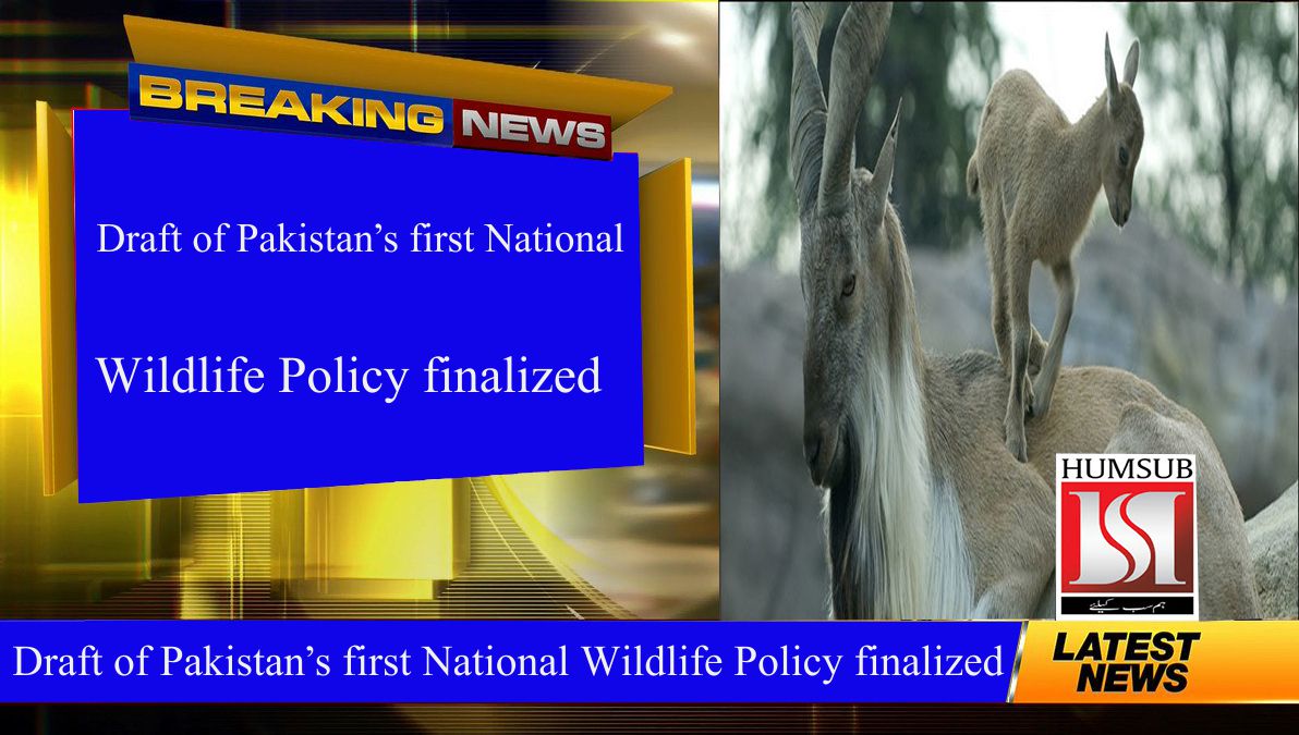 Draft of Pakistan’s first National Wildlife Policy finalized