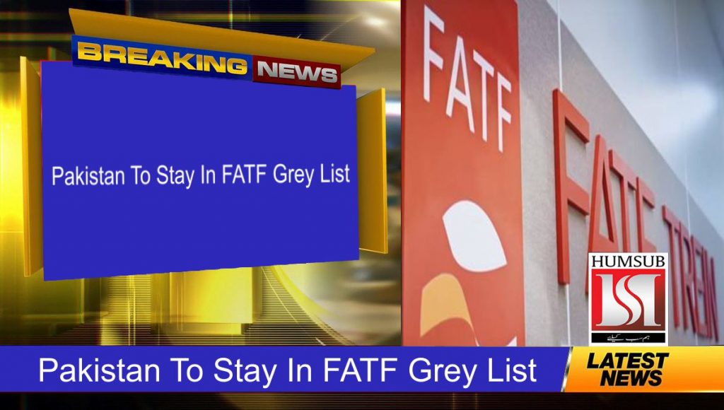 Pakistan To Stay In FATF Grey List