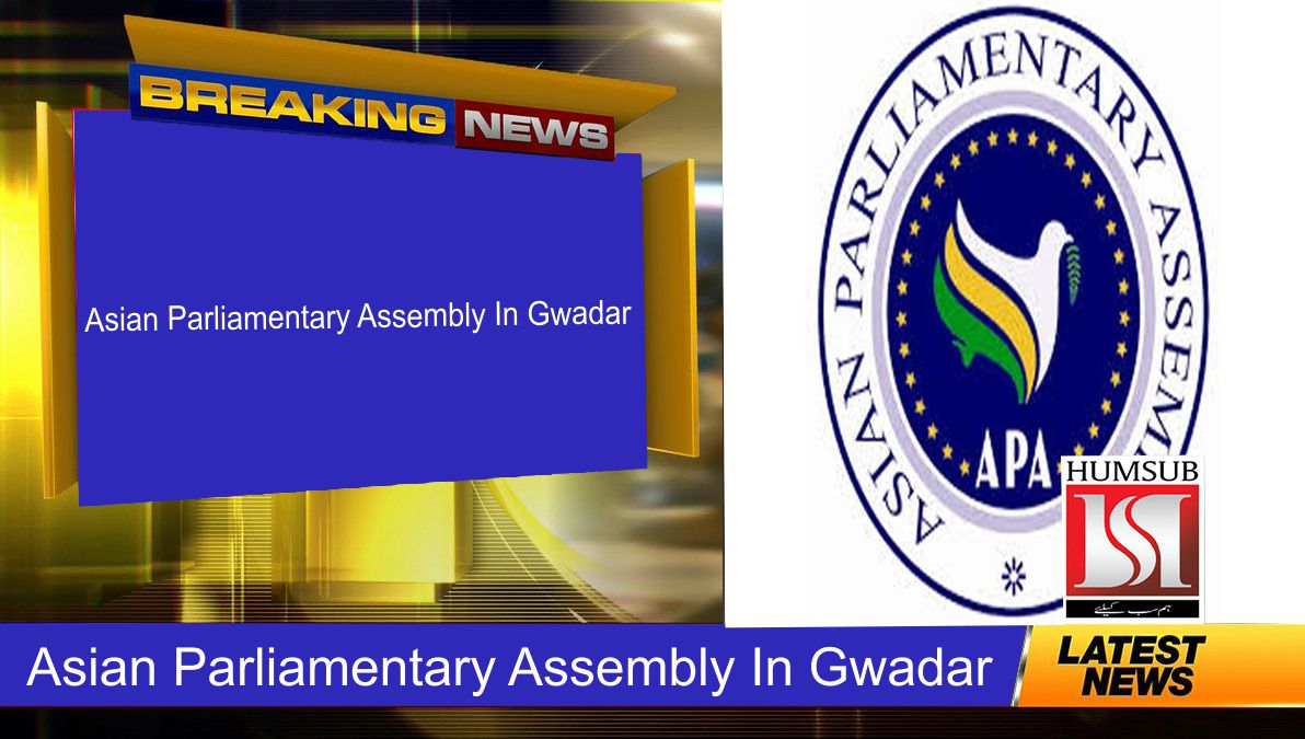 Asian Parliamentary Assembly In Gwadar