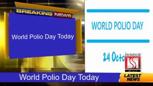 World Polio Day Today